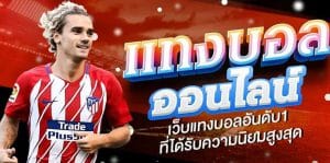 เว็บบอลโลกได้เงินจริง